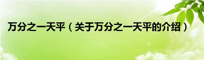 万分之一天平【关于万分之一天平的介绍】