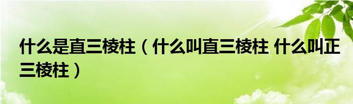 什么是直三棱柱【什么叫直三棱柱 什么叫正三棱柱】