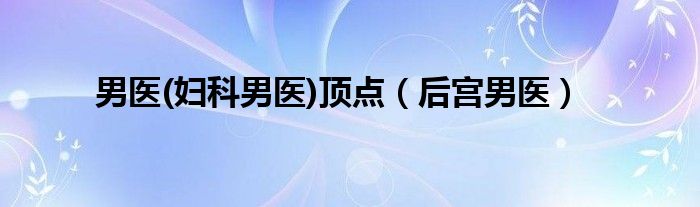 男医(妇科男医)顶点【后宫男医】