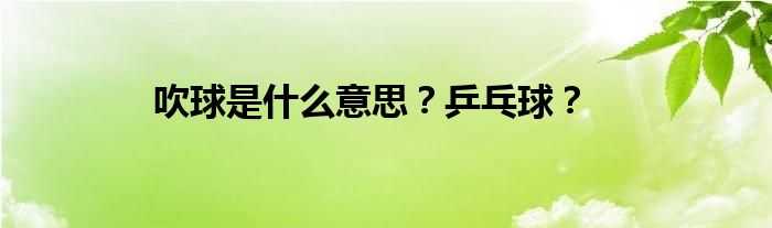 吹球是什么意思？乒乓球？