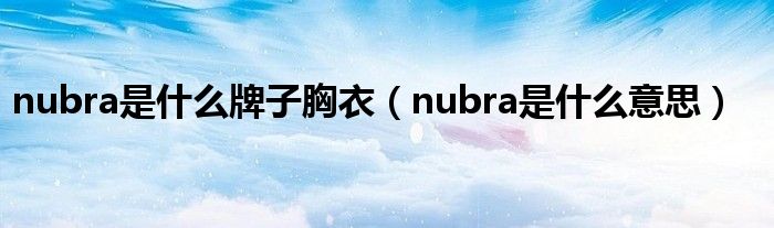 nubra是什么牌子胸衣【nubra是什么意思】