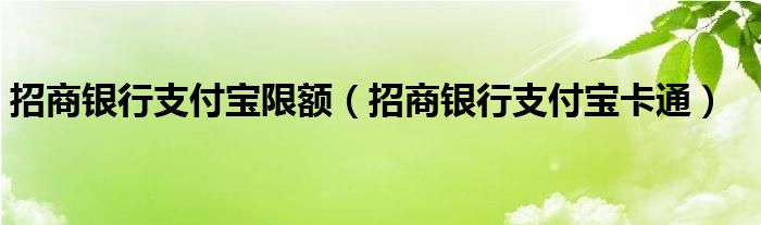 招商银行支付宝限额【招商银行支付宝卡通】