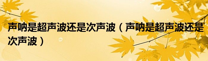 声呐是超声波还是次声波【声呐是超声波还是次声波】