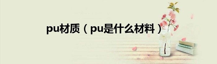 pu材质【pu是什么材料】