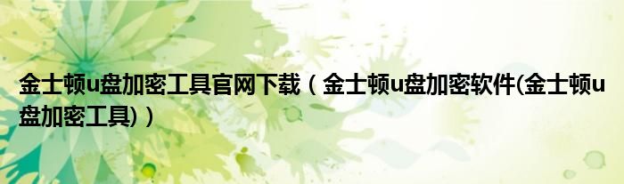 金士顿u盘加密工具官网下载【金士顿u盘加密软件(金士顿u盘加密工具)】