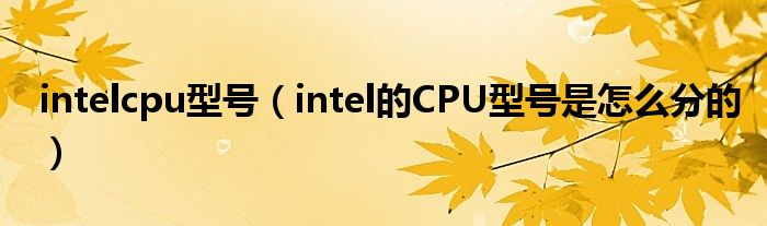 intelcpu型号【intel的CPU型号是怎么分的】