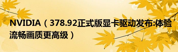 NVIDIA【378.92正式版显卡驱动发布:体验流畅画质更高级】