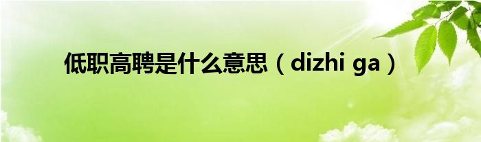 低职高聘是什么意思【dizhi ga】