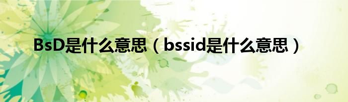 BsD是什么意思【bssid是什么意思】