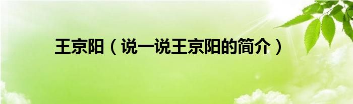 王京阳【说一说王京阳的简介】