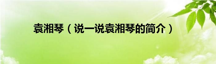 袁湘琴【说一说袁湘琴的简介】