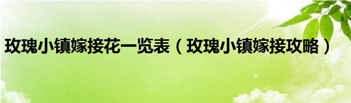 玫瑰小镇嫁接花一览表【玫瑰小镇嫁接攻略】