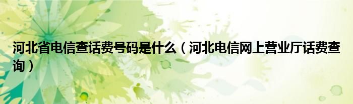 河北省电信查话费号码是什么【河北电信网上营业厅话费查询】