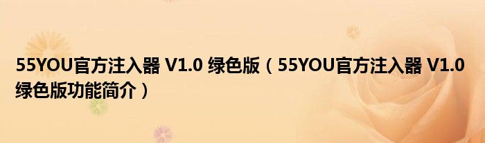 55YOU官方注入器 V1.0 绿色版【55YOU官方注入器 V1.0 绿色版功能简介】