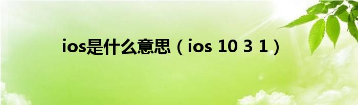 ios是什么意思【ios 10 3 1】