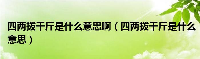 四两拨千斤是什么意思啊【四两拨千斤是什么意思】