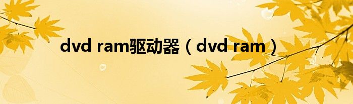 dvd ram驱动器【dvd ram】