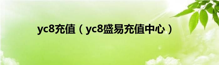 yc8充值【yc8盛易充值中心】