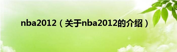 nba2012【关于nba2012的介绍】