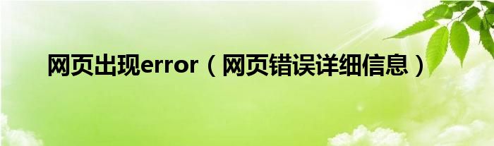 网页出现error【网页错误详细信息】