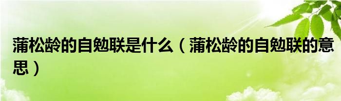 蒲松龄的自勉联是什么【蒲松龄的自勉联的意思】