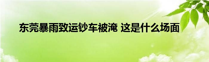 东莞暴雨致运钞车被淹 这是什么场面