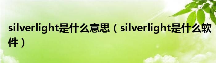 silverlight是什么意思【silverlight是什么软件】