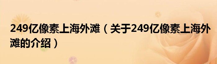 249亿像素上海外滩【关于249亿像素上海外滩的介绍】