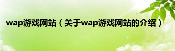 wap游戏网站【关于wap游戏网站的介绍】