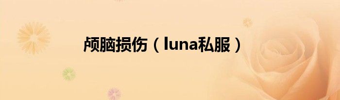 颅脑损伤【luna私服】