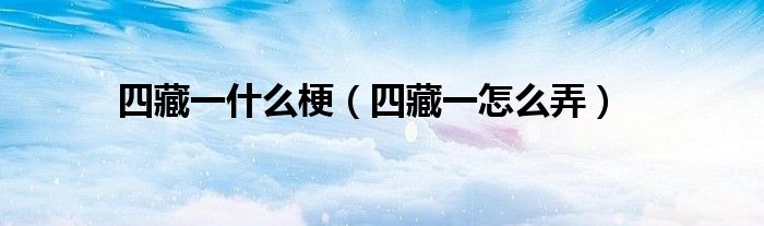 四藏一什么梗【四藏一怎么弄】