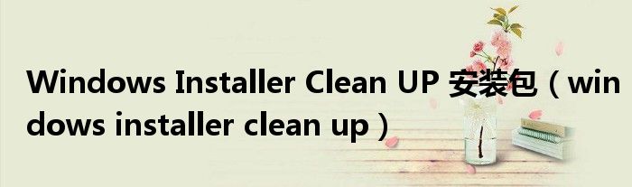 Windows Installer Clean UP 安装包【windows installer clean up】