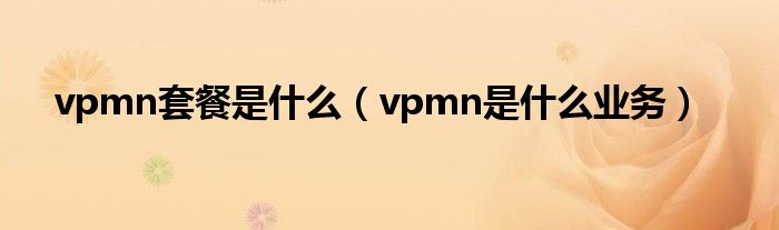 vpmn套餐是什么【vpmn是什么业务】