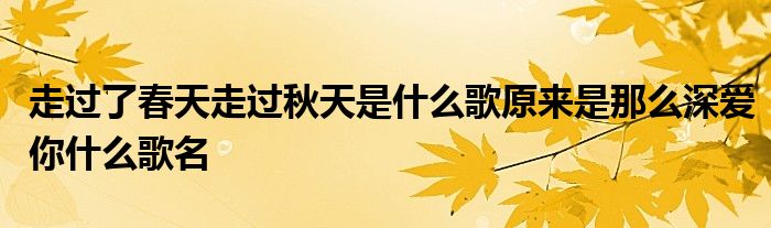 走过了春天走过秋天是什么歌原来是那么深爱你什么歌名