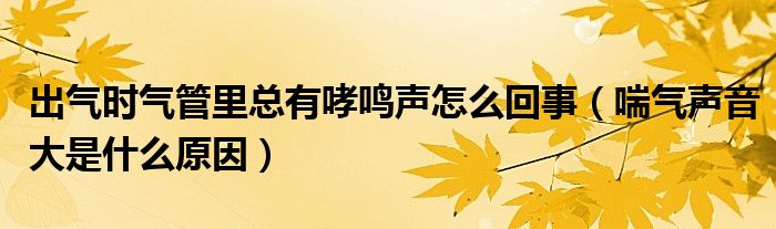 出气时气管里总有哮鸣声怎么回事【喘气声音大是什么原因】