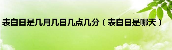 表白日是几月几日几点几分【表白日是哪天】