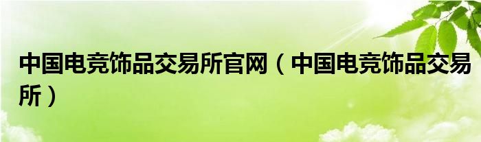 中国电竞饰品交易所官网【中国电竞饰品交易所】