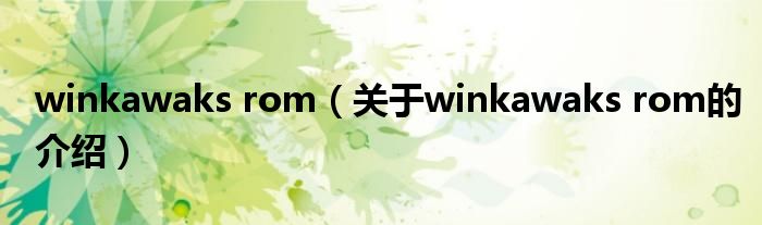 winkawaks rom【关于winkawaks rom的介绍】