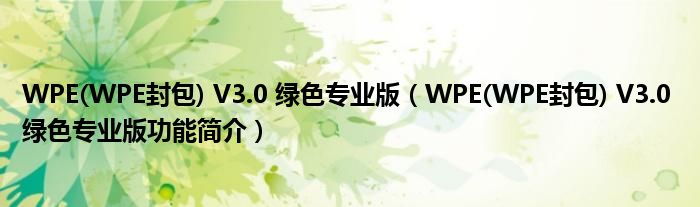 WPE(WPE封包) V3.0 绿色专业版【WPE(WPE封包) V3.0 绿色专业版功能简介】