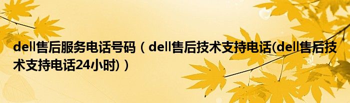 dell售后服务电话号码【dell售后技术支持电话(dell售后技术支持电话24小时)】