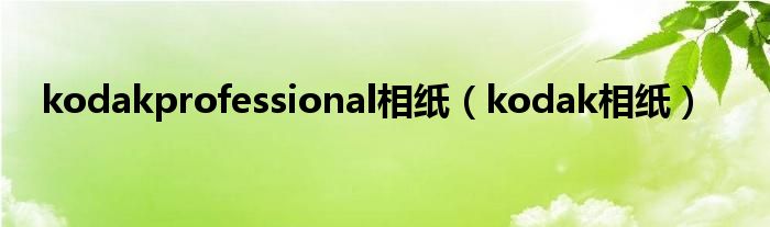 kodakprofessional相纸【kodak相纸】