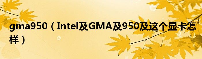 gma950【Intel及GMA及950及这个显卡怎样】