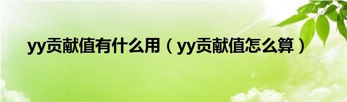 yy贡献值有什么用【yy贡献值怎么算】