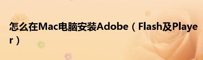 怎么在Mac电脑安装Adobe【Flash及Player】