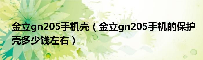 金立gn205手机壳【金立gn205手机的保护壳多少钱左右】