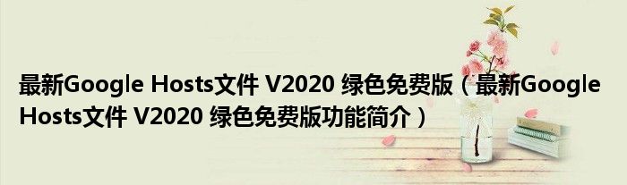 最新Google Hosts文件 V2020 绿色免费版【最新Google Hosts文件 V2020 绿色免费版功能简介】