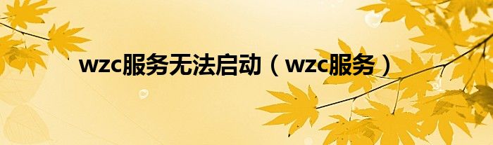 wzc服务无法启动【wzc服务】