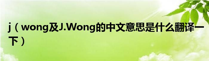 j【wong及J.Wong的中文意思是什么翻译一下】