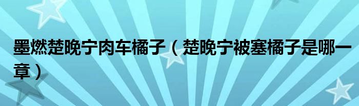 墨燃楚晚宁肉车橘子【楚晚宁被塞橘子是哪一章】