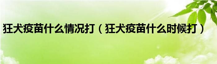 狂犬疫苗什么情况打【狂犬疫苗什么时候打】